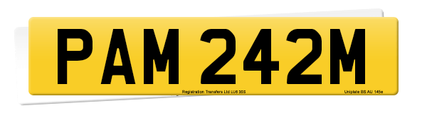 Registration number PAM 242M